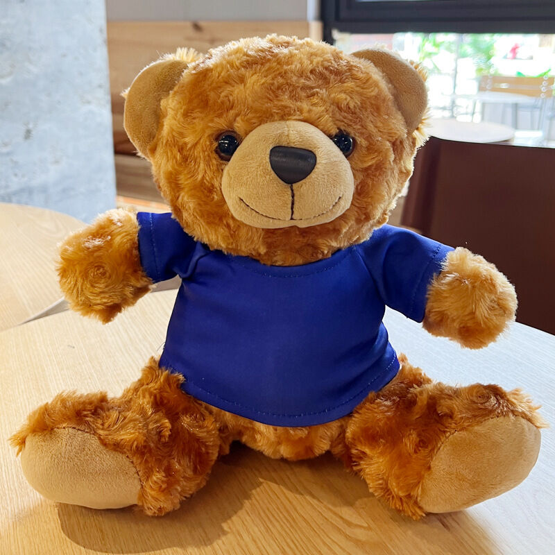 Ours en peluche personnalisé avec nom Cadeau pour couple