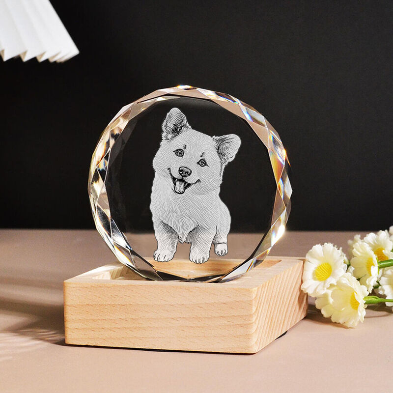 Individuelles Kristallfoto mit LED-Licht Basis Haustier Skizze Portrait Geschenk für Haustierbesitzer