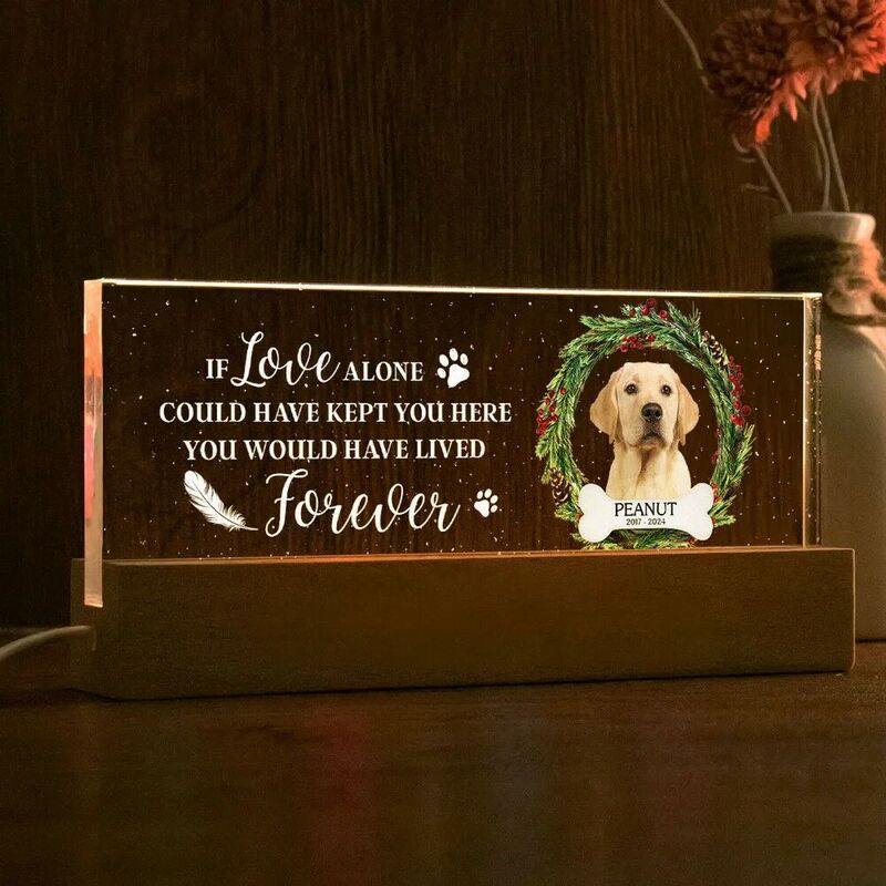 Personalized Led Lights Custom Photo Memorial Gifts For Pet Owners