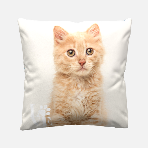 Cuscino fotografico bifacciale personalizzato con animali domestici