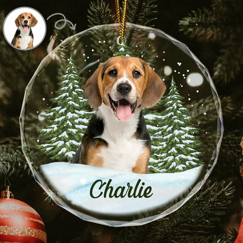 Personalized Christmas Ornaments Customized Pet Photos Cute Christmas Gifts