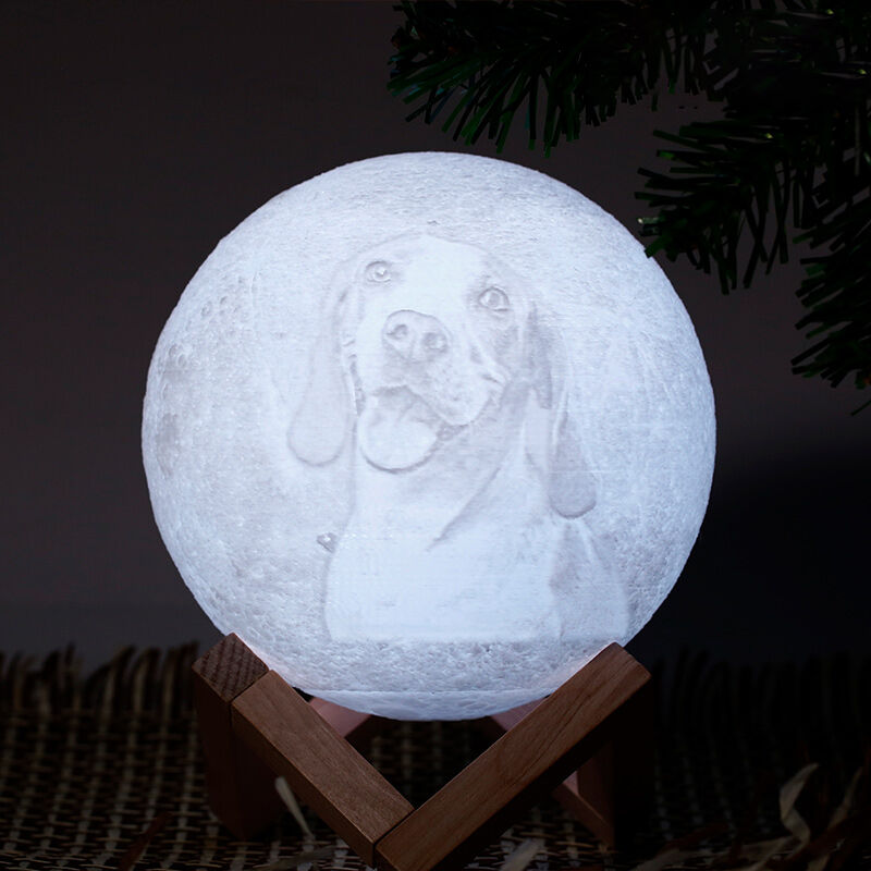 Kundenspezifisches Foto Mondlampe Nachtlicht mit Ihrem eigenen Bild und Text (10cm-20cm)