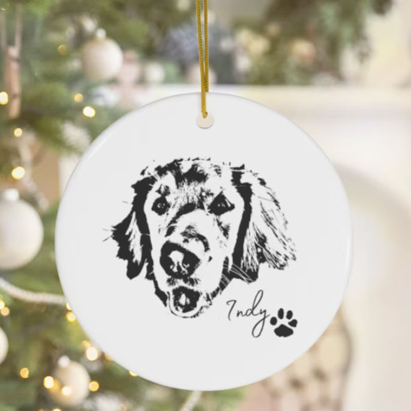 Custom Pet Photo And Name Decoration Christmas Gifts For Pet Lovers