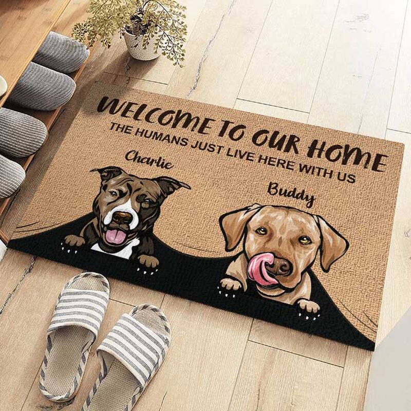 Welcome to Our Home Personalized Floor Mat with Pet Image and Name Gift