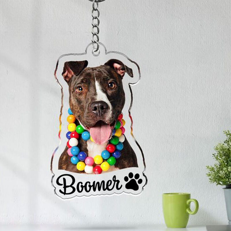 Personalized Acrylic Photo Keychains For Pet Lovers