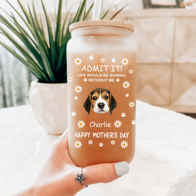 Personalized Picture Glass Cup with Lid And Straw Cute Present for Pet Lover