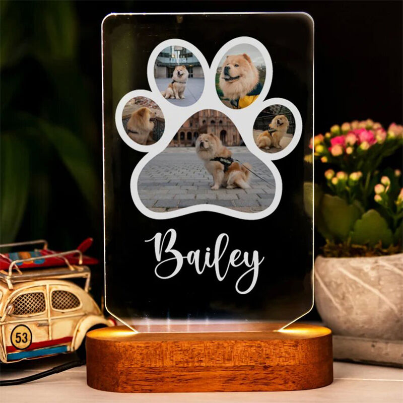 Personalized Pet Paw Print Acrylic Night Light with Wood Stand