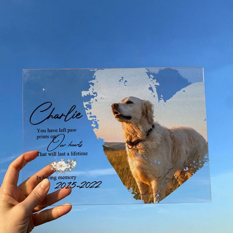 Personalized Acrylic Photo Plaque Your Paw Prints Will Last A Lifetime Memorial Gift for Pet Lover