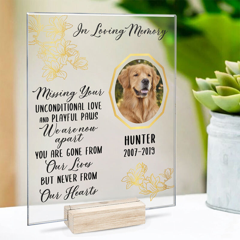 Personalized Acrylic Plaque Missing Your Unconditional Love and Playful Paws Memorial Gift for Pet Lovers