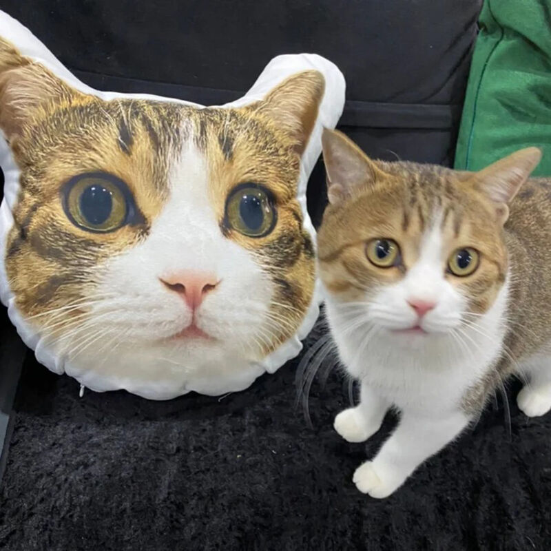 Individuelles niedliches Katze Gesichtskissen 3D Porträt Kissen