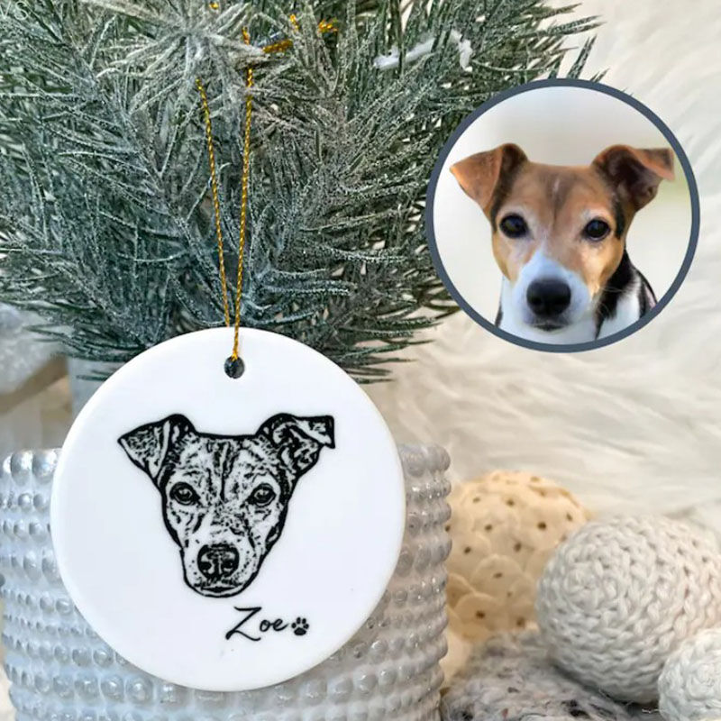 Custom Pet Photo And Name Decoration Christmas Gifts For Pet Lovers