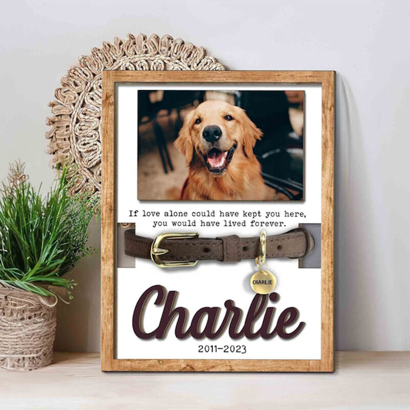 Personalized Pet Collar Frame Memorial Gift For Cute Dogs