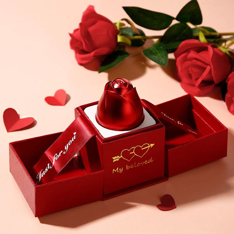 Coffret à bijoux rose avec collier de projection Beau cadeau pour la Saint-Valentin