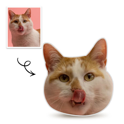 Almohada personalizada cara divertida de mascota retrato 3D