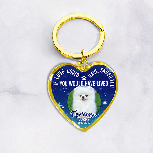 Porte-clés "L'amour t'a sauvé pour toujours" commémoratif de luxe en argent pour les amoureux des animaux domestiques