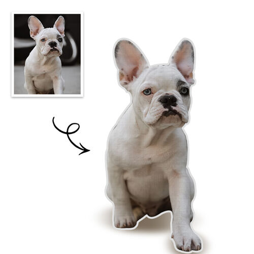 Almohada personalizada con foto de mascota impresa 3D retrato de perro regalo decorativo