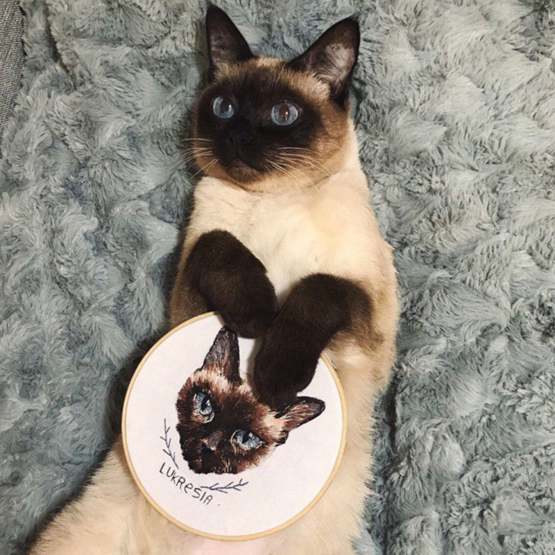 Aro Bordado Personalizado Con Varias Fotos Para Mascotas Bonitas