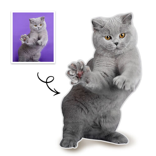 Individuelles Haustier Ganzkörper Fotokissen 3D Porträt Kissen Graue Katze Geschenk für Freund