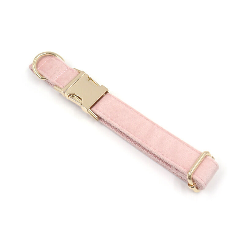 Personalized Velvet Collar with Pet Name Added as a Gift for Pet Lovers
