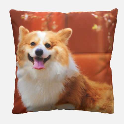 Custom Double Sided Photo Pillow For Cut Pet