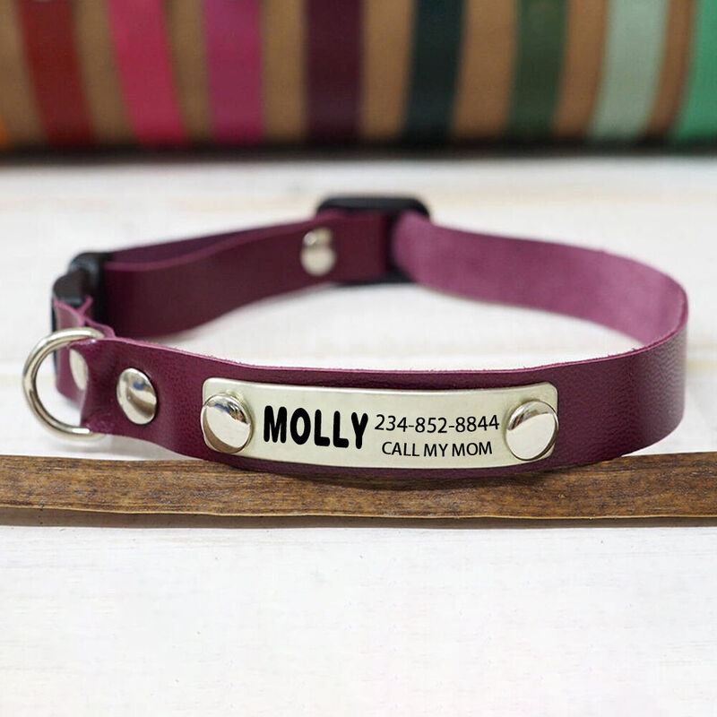 Personalized Leather Pet Collar Can Be Engraved as a Gift for Pet Owners