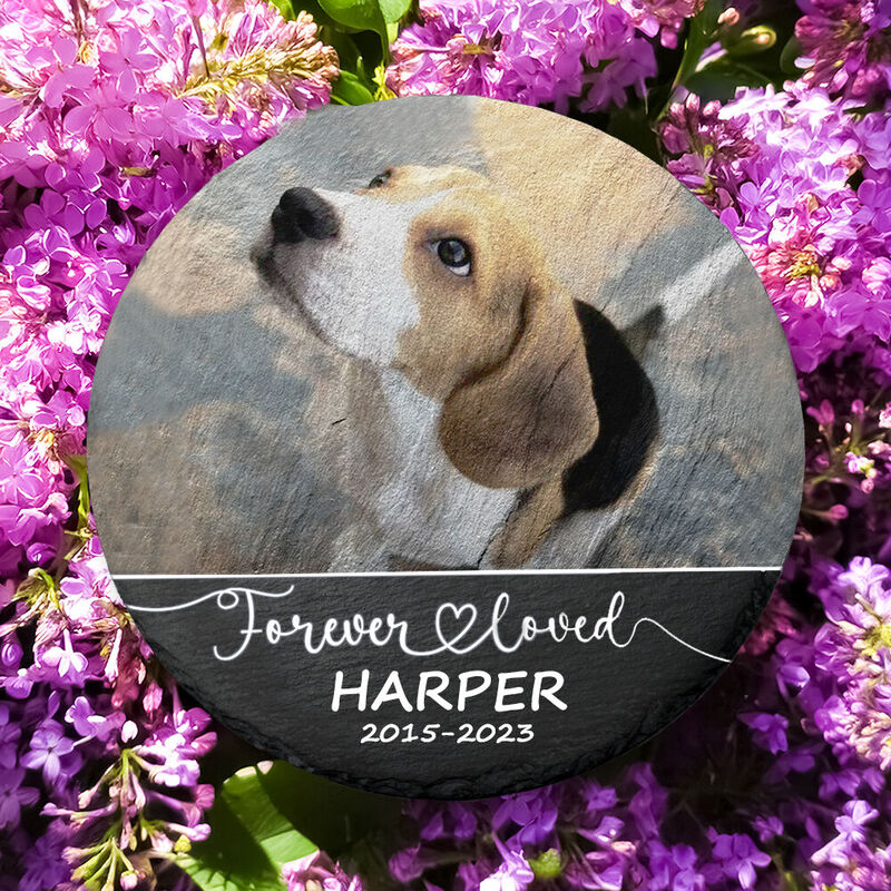 Personlig minnessten rund form hund gravstenar husdjursförlust gåvor