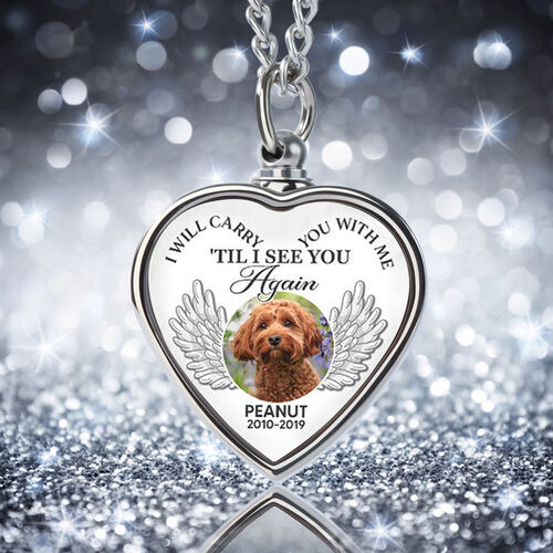 I Will Carry You With Me Luxury Pet Memorial Heart Custom Picture Urn Necklace