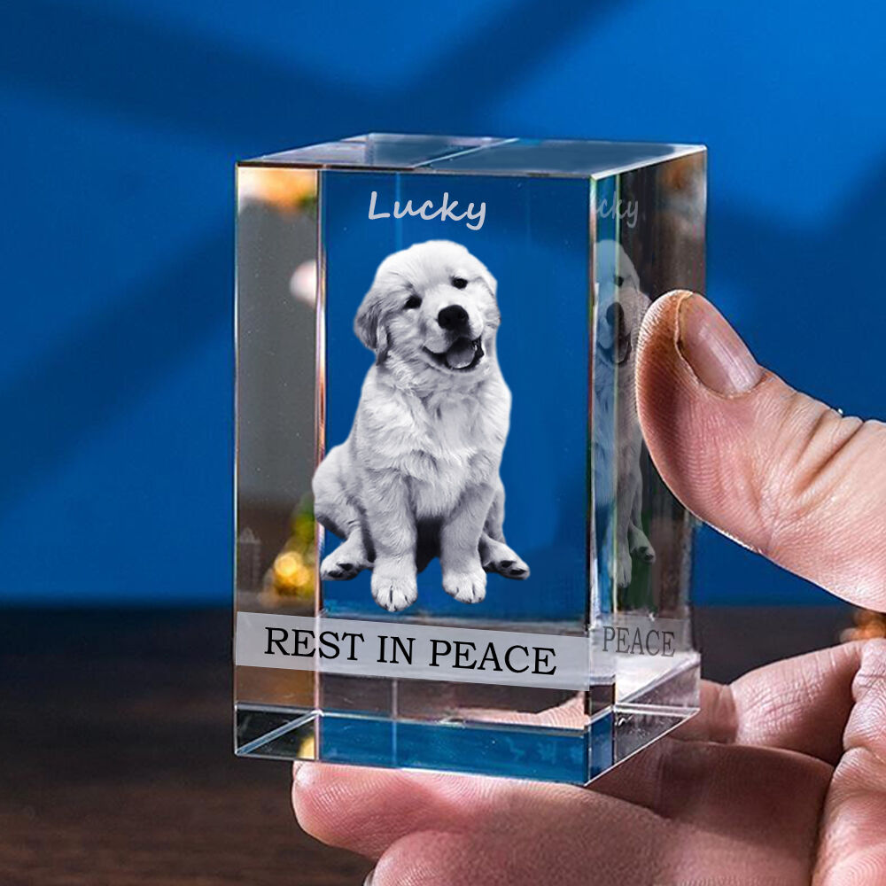 Custom 3D Crystal Photo Pet Portrait Memorial Gift 3D Photo Ornaments ...