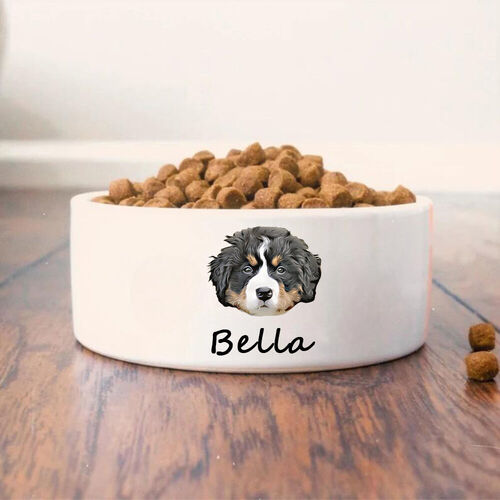 ペットフード　お皿　エサ入れ　レジンアート ペットフードお皿エサ入れレジンアート