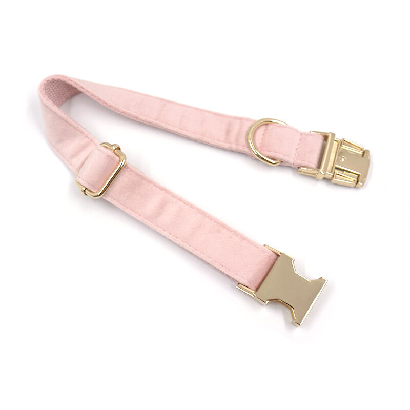 Personalized Velvet Collar with Pet Name Added as a Gift for Pet Lovers