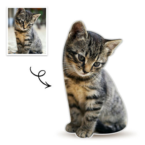 Almohada personalizada con foto de mascota 3D retrato de gato regalo divertido