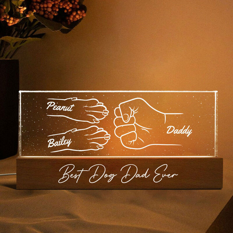 Personalized Led Custom Paw Name Set Cute Gift For Pet Owners