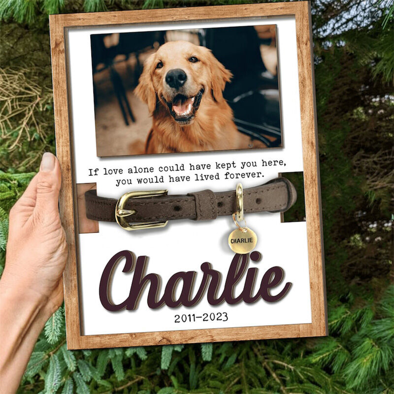 Personalized Pet Collar Frame Memorial Gift For Cute Dogs