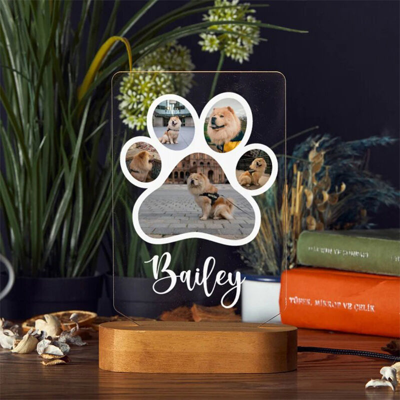 Personalized Pet Paw Print Acrylic Night Light with Wood Stand