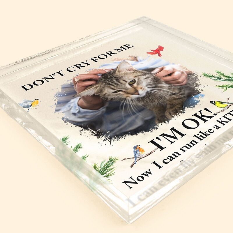 Personalized Square Acrylic Photo Plaque Don't Cry For Me Kitten Memorial Gift for Pet Lover