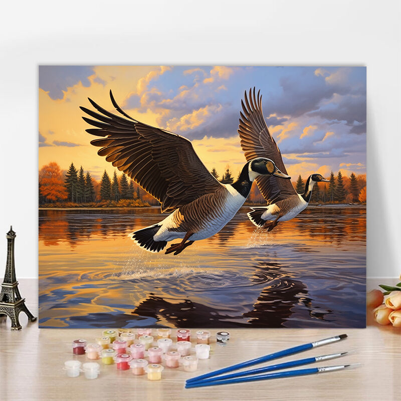 Flying Birds Paint By Numbers Kits Special Gift for Couples