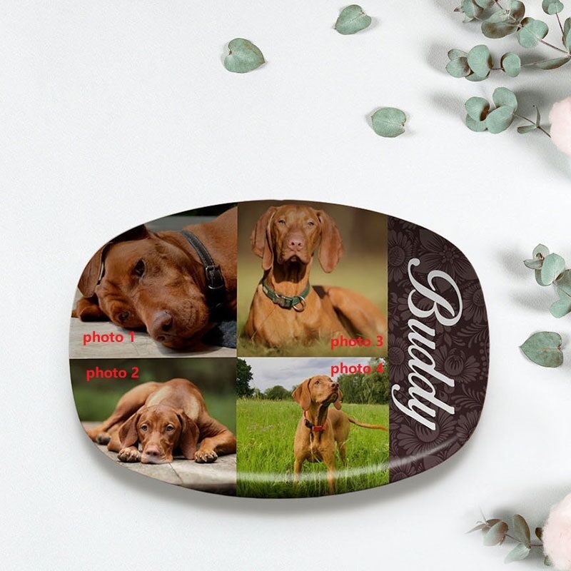 Personalisierte Bild und Namen Platte perfektes Geschenk für Tierliebhaber