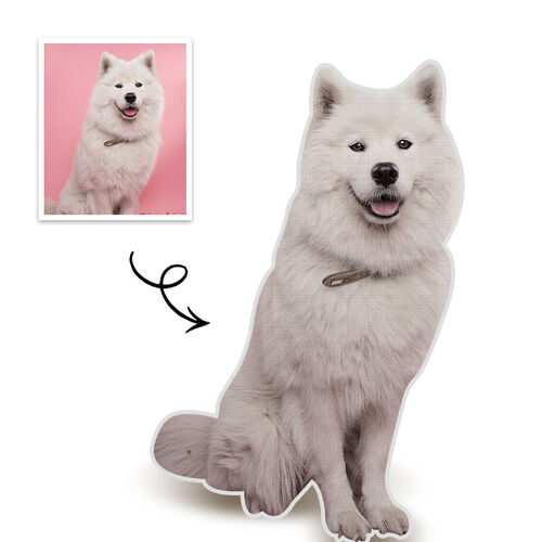 Oreiller personnalisé pour photo du corps entier d'un animal de compagnie portrait 3D Cadeau pour ami