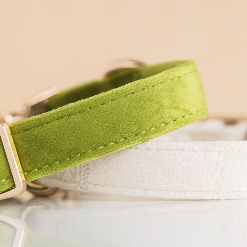 Personalized Velvet Collar with Pet Name Added as a Gift for Pet Lovers
