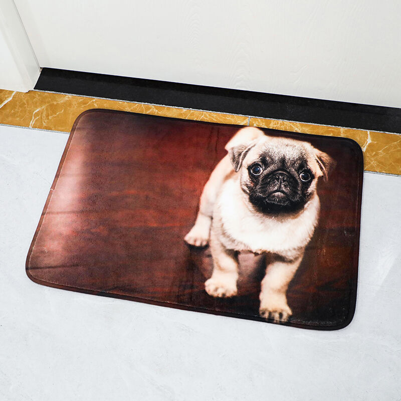 Custom Photo Floor Mats Doormat
