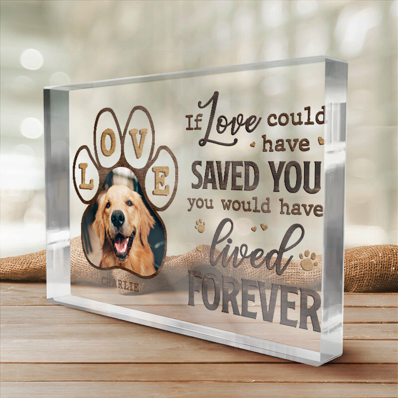 Personalized Acrylic Photo Plaque If Love Could Have Saved You with Paw Design Memorial Gift for Pet Lover