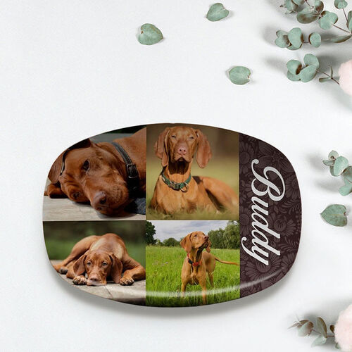 Custom Picture and Name Plate Perfect Gift for Pet Lovers