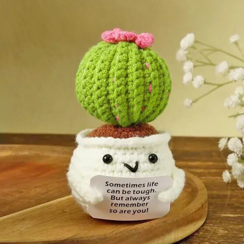 Handmade Crochet Cactus Positive Doll Creative Gift for Brother