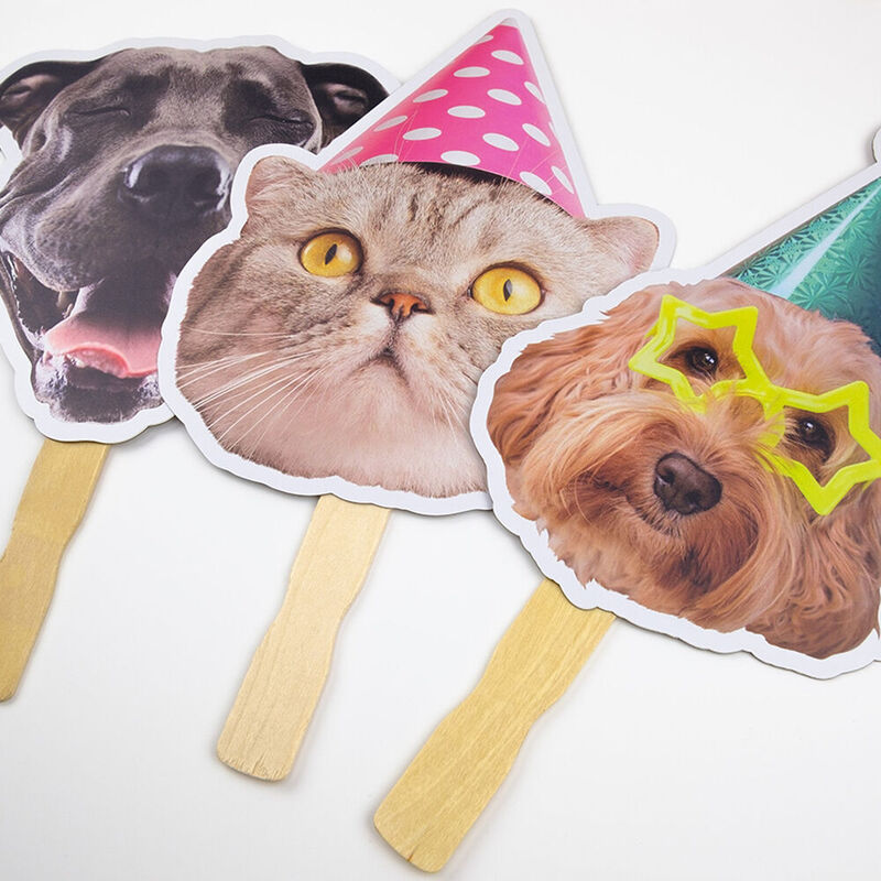 Bastone personalizzato con grande faccia Regali divertenti per gli amanti degli animali domestici