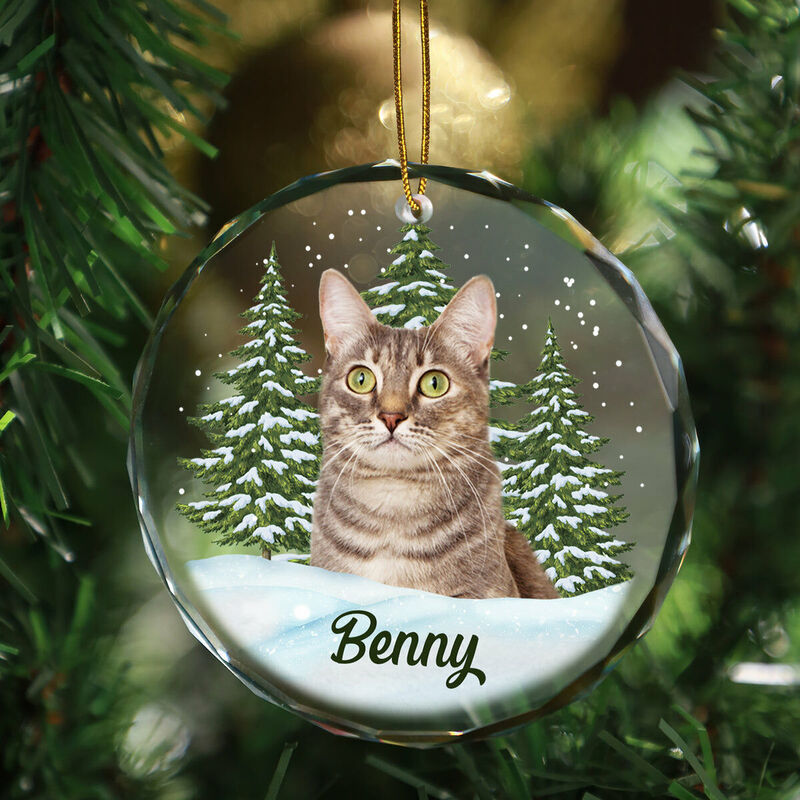 Personalized Christmas Ornaments Customized Pet Photos Cute Christmas Gifts