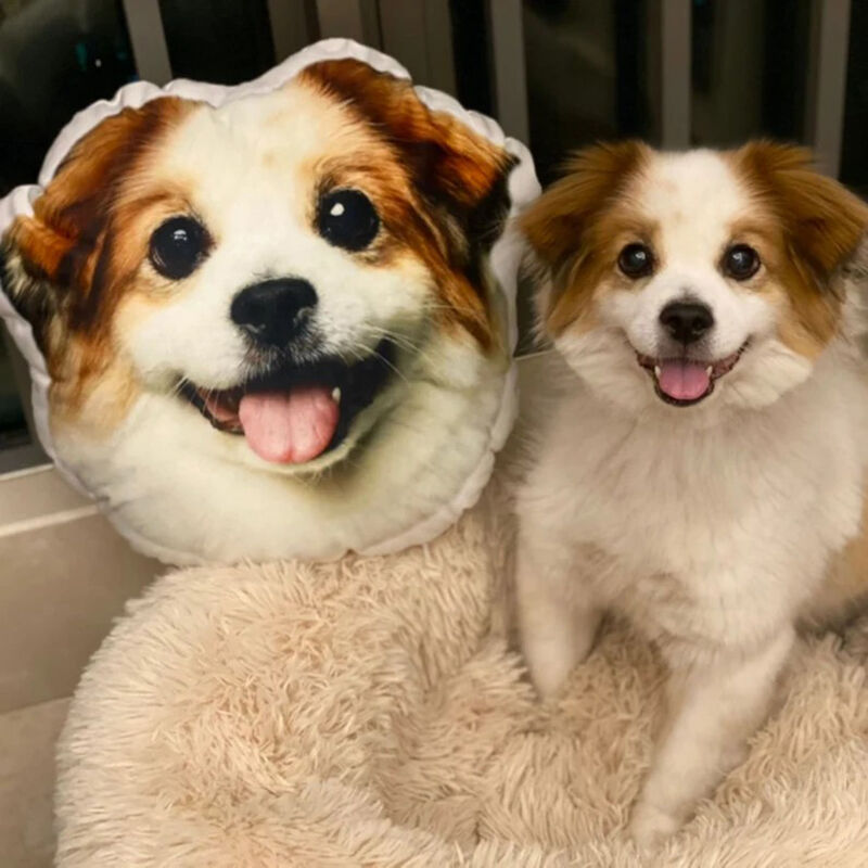 3D Cuscino Personalizzato con Foto degli Animali Domestici per Viso Cane