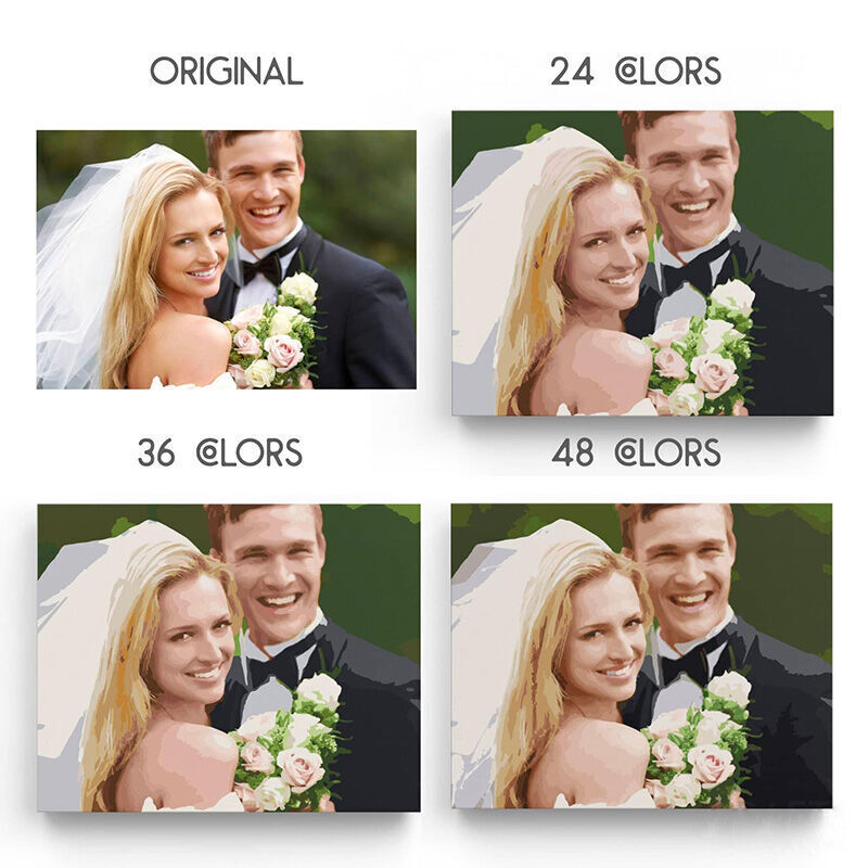Pink Rose Paint By Numbers Kits Beautiful Gift for Your Love