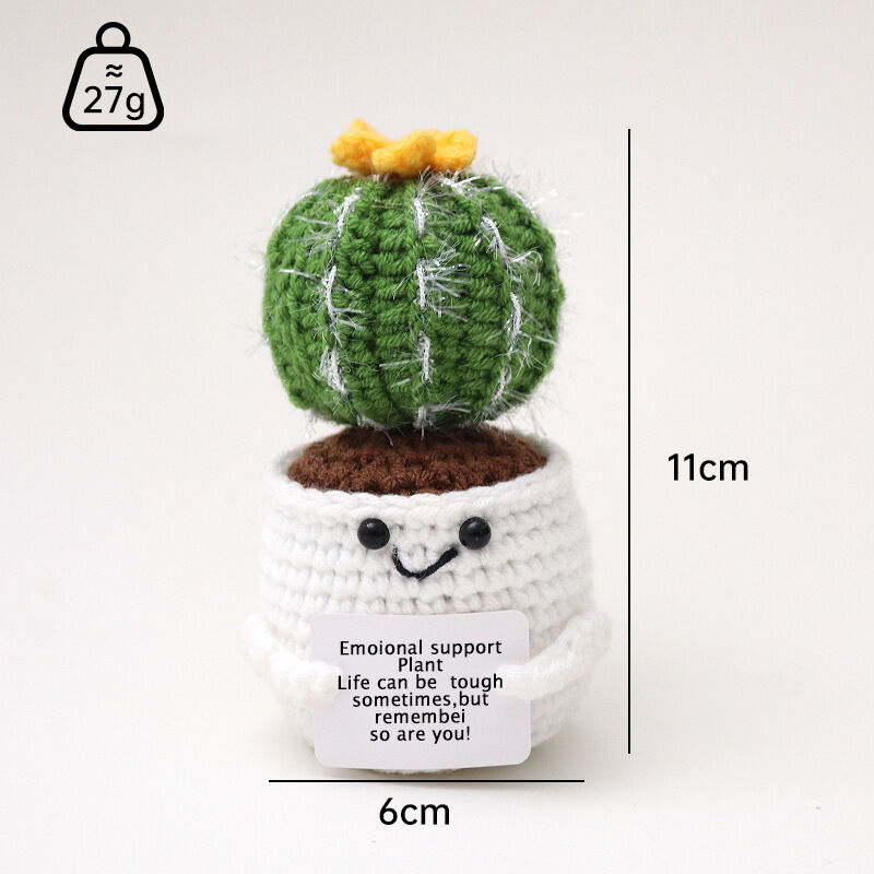 Handgehaakte Cactus Positieve Pop Creatief Cadeau voor Vrienden