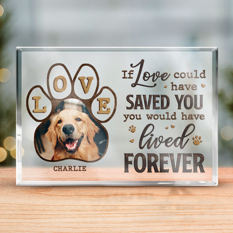 Personalized Acrylic Photo Plaque If Love Could Have Saved You with Paw Design Memorial Gift for Pet Lover