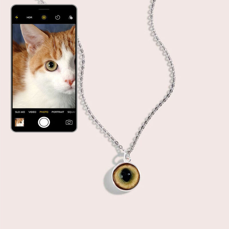 Collier Iris personnalisé Ajoutez une photo de l'œil comme cadeau unique pour les amoureux des animaux